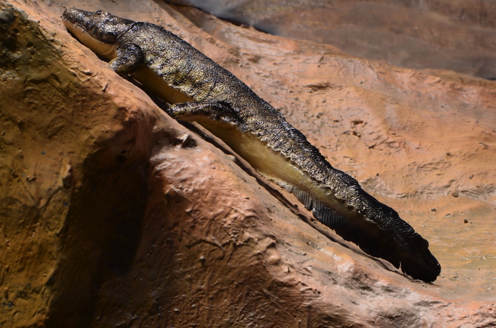 Tracks Museum – obiekt na terenie Paleosafari Moab Giants