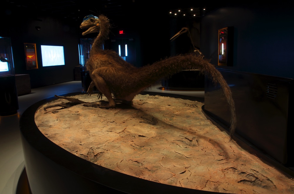 Tracks Museum – obiekt na terenie Paleosafari Moab Giants